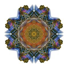 Very Lost In The Woods, 2021